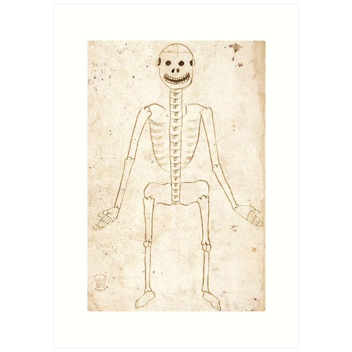 Skeleton | Blank Greeting Card