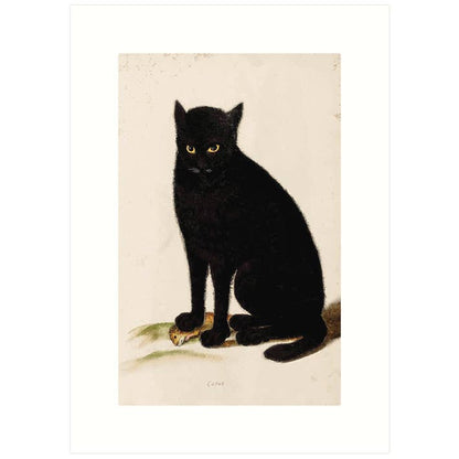 Black Cat | Blank Greeting Card