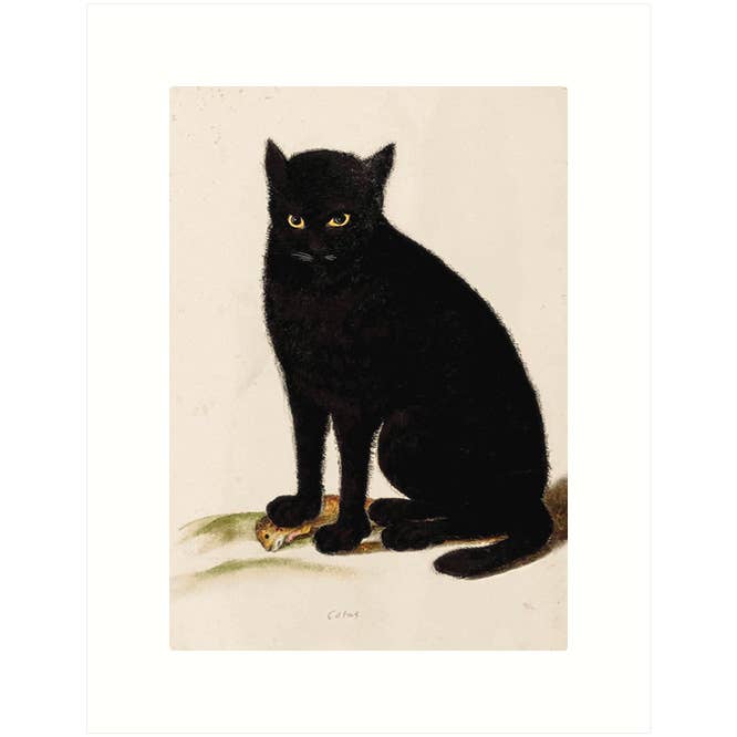 Black Cat | Blank Greeting Card