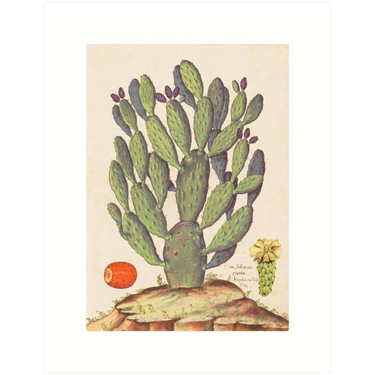 Prickly Pear | Blank Greeting Card