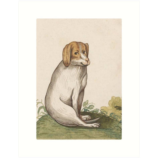 Kind Dog | Blank Greeting Card