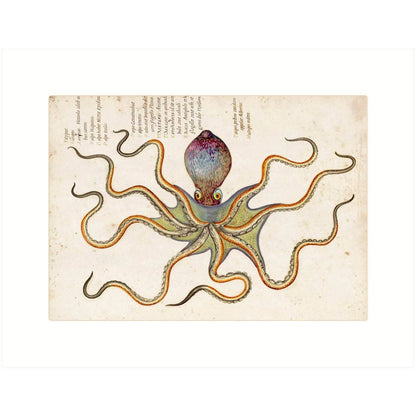 Octopus | Blank Greeting Card