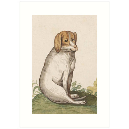 Kind Dog | Blank Greeting Card