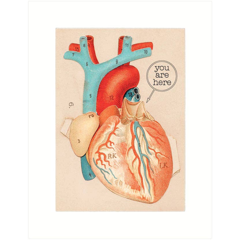 Anatomical Heart | Love Greeting Card